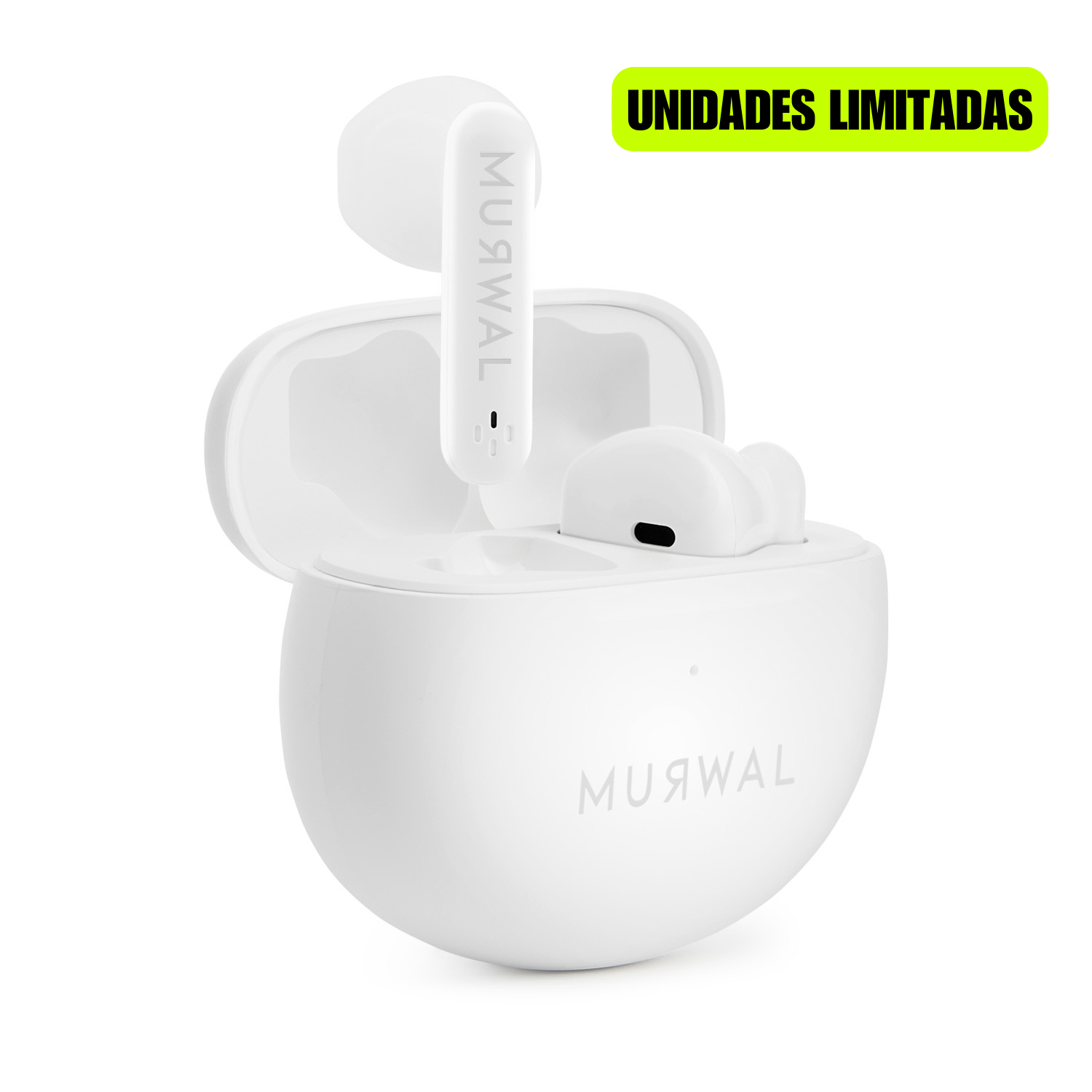 MURWAL GLOBE 2