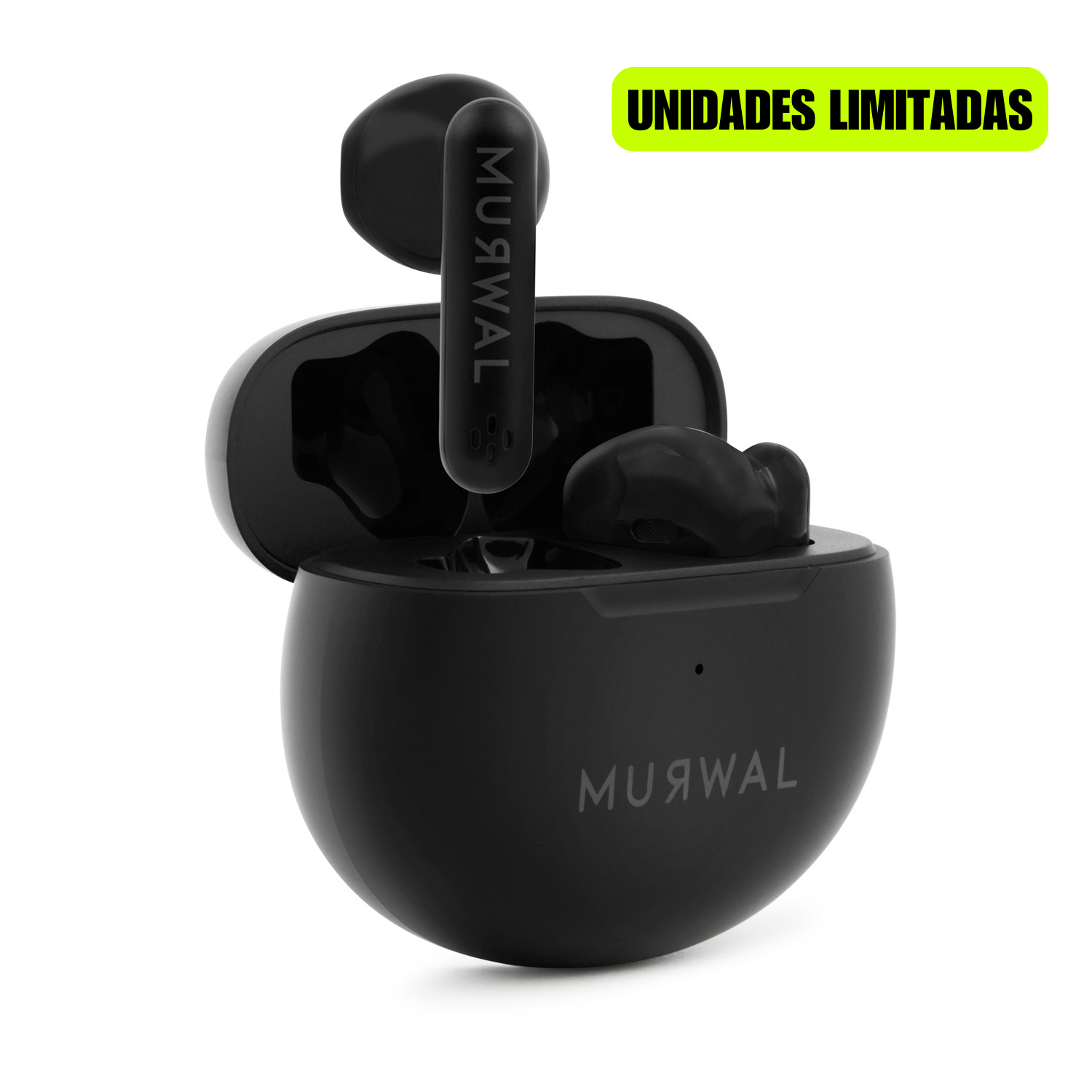 MURWAL GLOBE 2