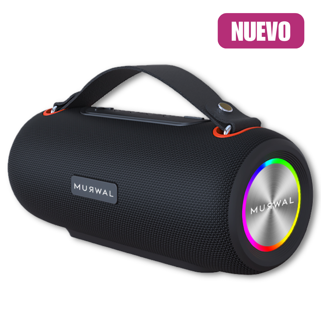 MURWAL SPEAKER PLUS 2