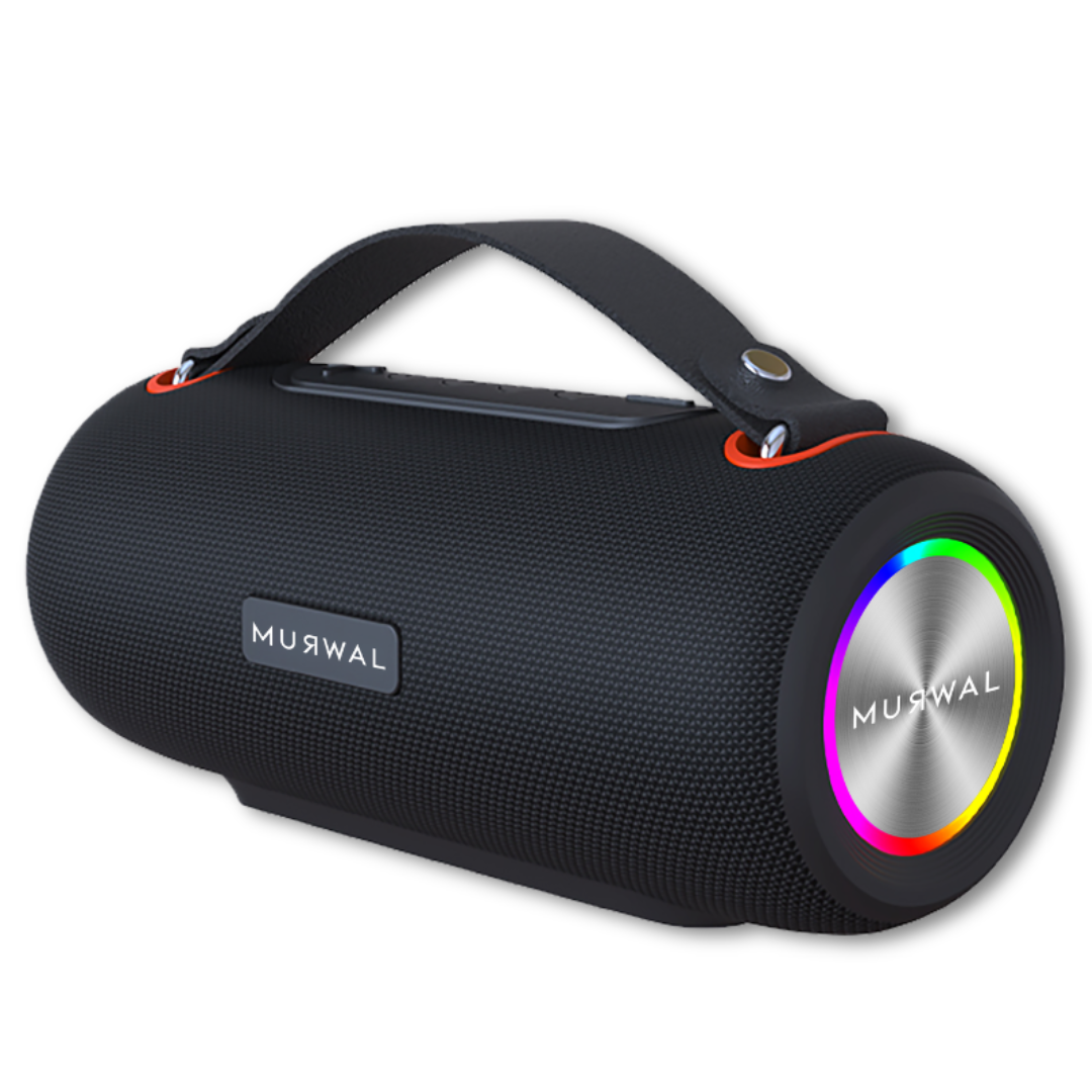 MURWAL SPEAKER PLUS 2