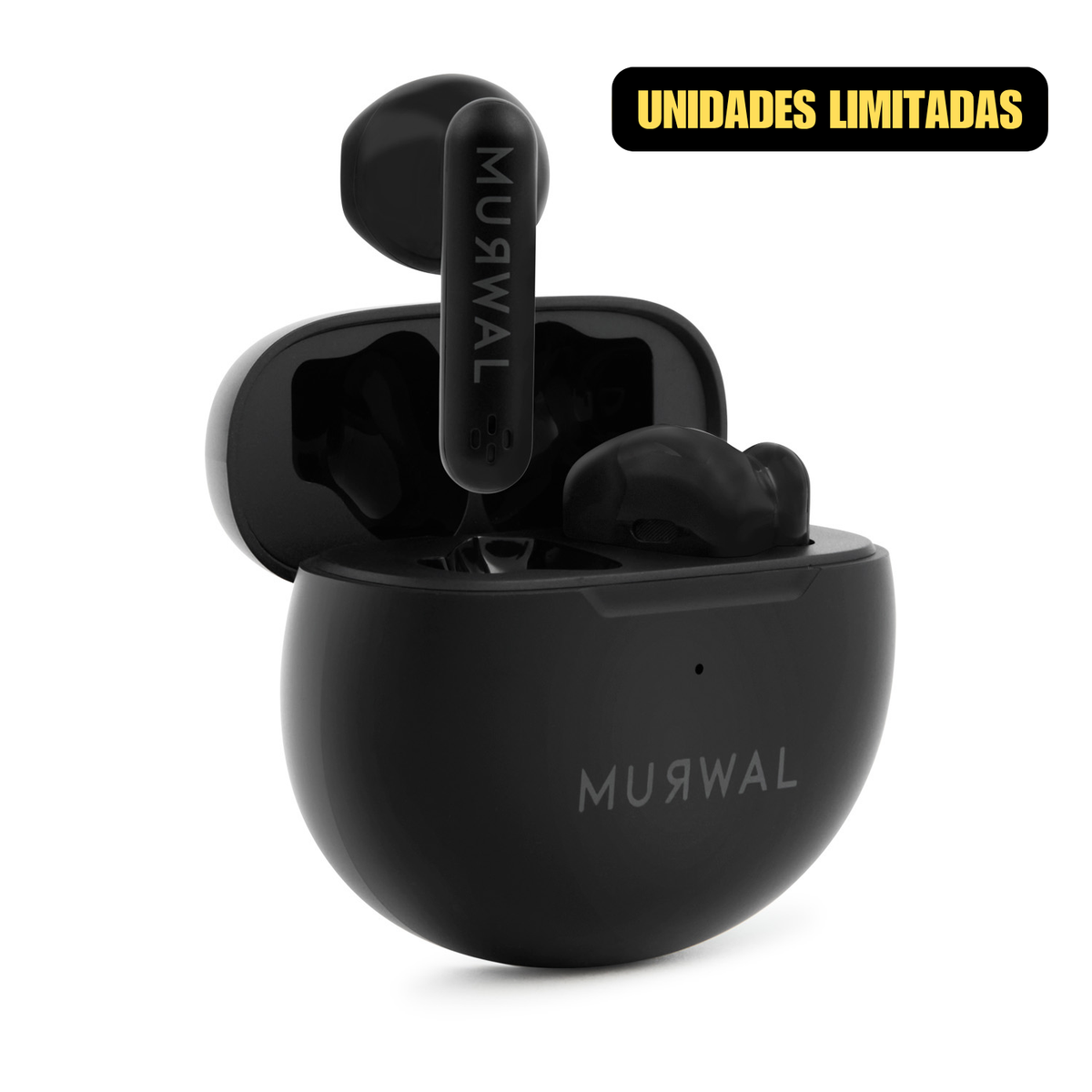 MURWAL GLOBE 2