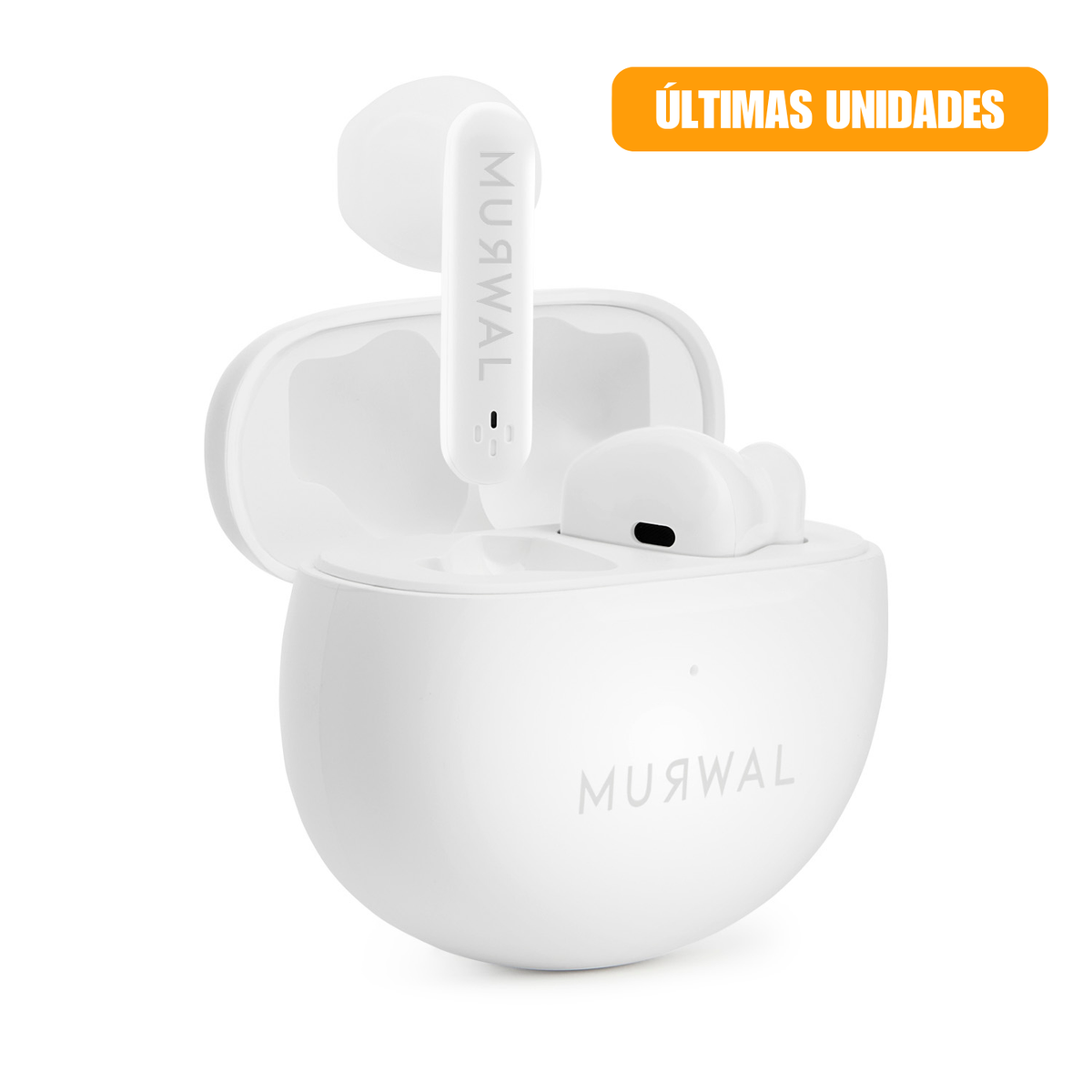 MURWAL GLOBE 2