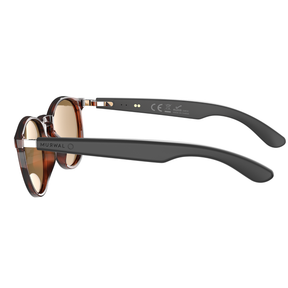 MURWAL SOUNDGLASSES