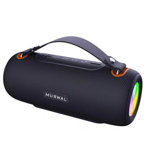 MURWAL SPEAKER PLUS