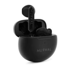 MURWAL GLOBE 2