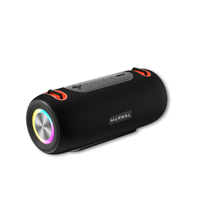 MURWAL SPEAKER PLUS
